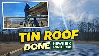 Finishing the Roof on Our 32&times;24 Chicken Run | Tin Roof Install for Backyard Chickens