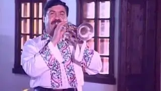 Adam Stîngă - Hora Zîrneştenilor
