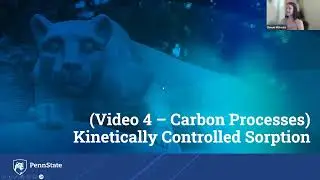 BioRT-HBV Carbon Processes Video 4b Kinetic Sorption
