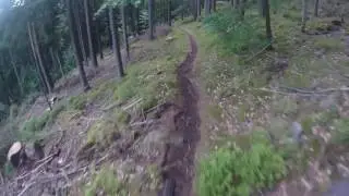 Schwarzwald, Mtb, Enduro, Baiersbronn