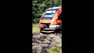 🚆 Triebwagen Typ Lint DB 648 956-0 f&auml;hrt am B&uuml; Wulfshagen als RE 72 in Richtung Kiel-Hbf