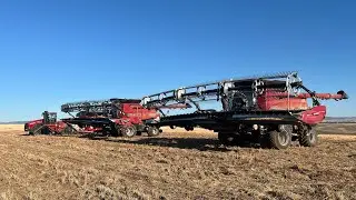 Start of Harvest 2025!