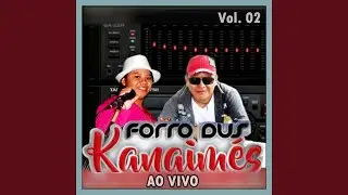 Sou do forr&oacute; - Ao Vivo