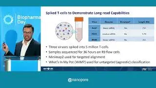 A sensitive sample preparation pipeline for adventitious virus detection using nanopore sequencing