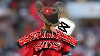 Girl Said It's Time For Suiii Effect 🗿🥶|| Turtle Editzツ