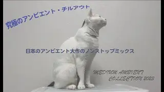 Medium Ambient Collection 2023 NonStopAmbient,chill out DJ-MIX 作業用BGM