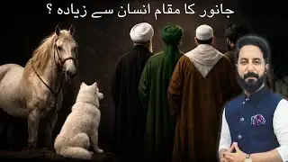 Janwar Ka Muqam Insan Se Barh Gya? Islamic Video l Islamic Motivational Documentary l Quran Stories