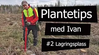 Plantetips # 2: Lagre plantene riktig!