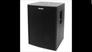 Pronomic pro 18