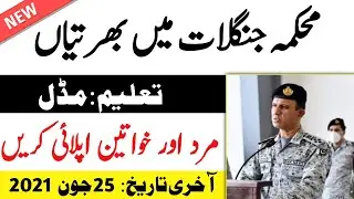 Forest Department Jobs 2021 | Latest Government Jobs 2021 - Male and Female