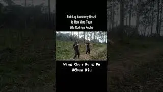 CHUM KIU FORM #wingchun  #martialarts  #trending  #science #shorts  #youtubeshorts