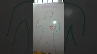 Irraivan Oruvanae,  human, Body heart
