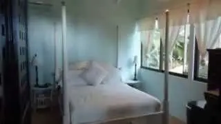Dominical Real Estate - 4.5 ACRES-2 Bedroom Ocean View-Pool And Ample Room For More Construction!!!