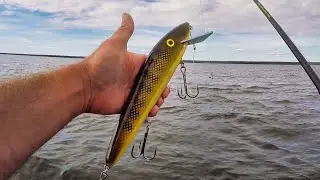 Eagle Lake Muskies - Rocks or Weeds?? August 2019