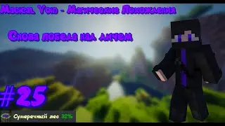 MAGICAL VOID #25 Сново лич &bull; Майнкрафт.