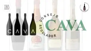 Denominación de Origen Cava, todo lo que siempre quisiste saber.