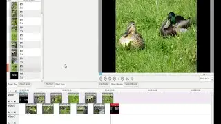 Create A Slide Show Complete With Fade Transitions Using Kdenlive