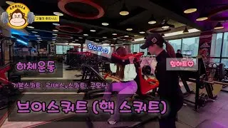 [하체운동] 브이스쿼트