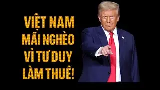 Tại Sao Việt Nam Phụ Thuộc FDI V&agrave; Xuất Khẩu Mỹ? Cơ Hội V&agrave; Th&aacute;ch Thức Bạn Cần Biết!