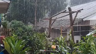 rainy atmosphere in the tea plantation village, best to pull up the blanket again