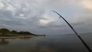 Topwater Red on Egret Baits Phantom Ghost Walker