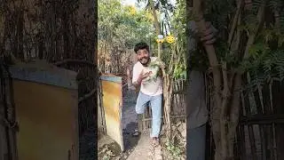 Anand ke Ghar Monkey Ghus Gayi 😳🐒 #funnyvideos #cutebaby #funnyshorts #entertainment #youtubeshorts