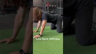 Exercise for Low Back Stiffness.✅ #lowbackpain #lowbackexercises #lowbackpainrelief #backpain