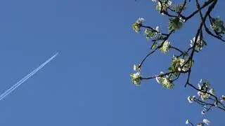 iZenTzu - HC-VX11 Chemtrail Test 250 Digital Zoom