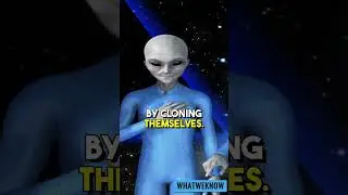 The Sassani | Alien Races in Contact with Earth Believe it or Not #alienspecies #aliens #shots