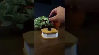 Fire Lamp For Indoor Outdoor | Camping Lamp #lifehacks #dubai #camping #interior