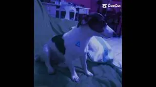 Blue/images core edit triangle version not star