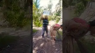 #funny video 😜🤣...