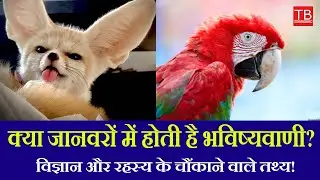 Can Animals Predict the Future? Surprising Facts Backed by Science & Mystery! #timesbull