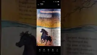 Swift Things Are Beautiful