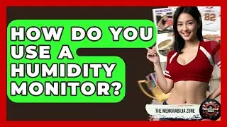 How Do You Use A Humidity Monitor? - The Memorabilia Zone