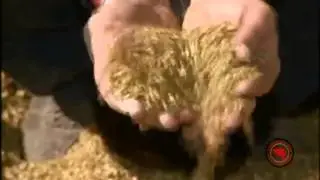 Made in Belgium: Castle Malting S.A. / Malterie du Ch&acirc;teau S.A.