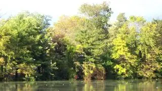 kodak z1485 video