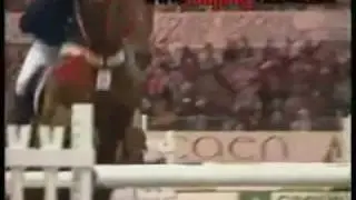 crazy metal horse