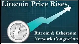 Why Litecoin Price is Rising? Bitcoin and Ethereum Network Congestion