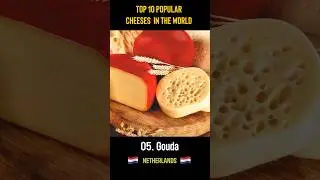 TOP 10 - Popular Cheeses  in the World