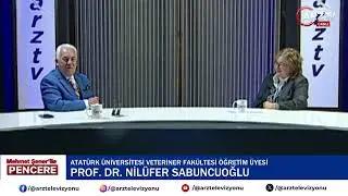 ARZ TV MEHMET ŞENER ( PENCERE )