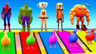 Superhero Duck Race! Colorful Ducks & Funny Characters for Kids | Learn Colors & Play