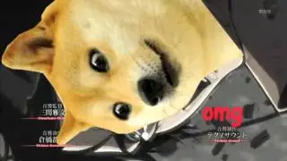 Attack On Shibe | Shingeki No Doge