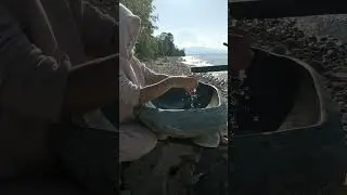 Байкал.  Раковина из камней Байкала.