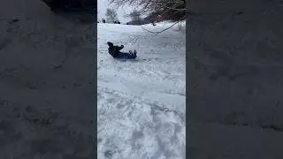 Dad VS Son Sledding Skills #snow #snowday #sledding