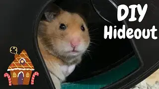 DIY Hamster Hideout