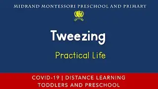 Montessori Practical Life Presentation - Tweezing