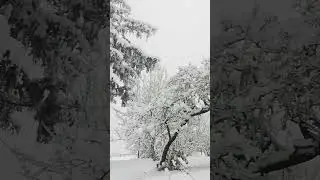 Winter Magic❄️ #relaxing #soothing #christmas