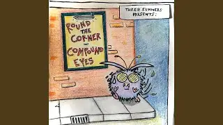Compound Eyes