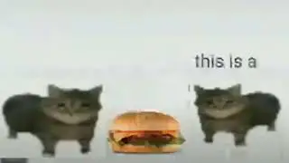 To jest hamburger